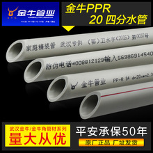 关于iPhone Ultra 你应该知道的这9件事