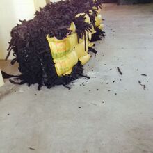 合揽13球！哈兰德凯恩世界杯八强相遇